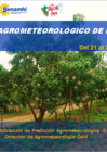 Vista preliminar de documento Reporte agrometeorológico de impacto - Costa 21 al 27 de enero del 2025