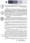 Vista preliminar de documento RGM 015 2025