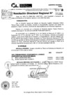 Vista preliminar de documento RDR 11083-2024