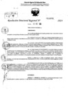 Vista preliminar de documento RDR 11088-2024