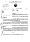 Vista preliminar de documento RDR 11089-2024
