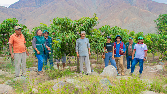 Autoridades supervisan ejecución del plan de control de la mosca de la fruta en el centro poblado de Huamba Baja