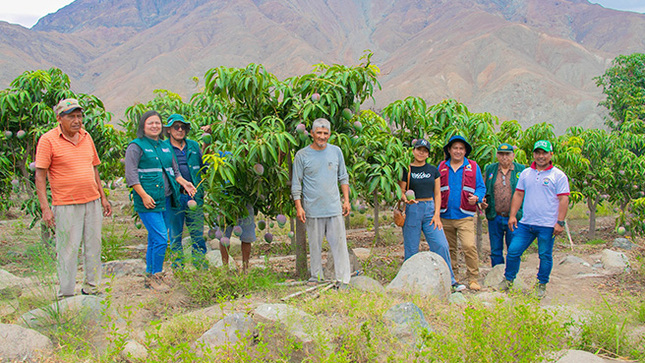 Autoridades supervisan ejecución del plan de control de la mosca de la fruta en el centro poblado de Huamba Baja