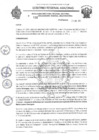 Vista preliminar de documento RESOLUCION N 038
