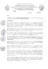 Vista preliminar de documento RESOLUCION N 046