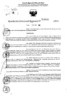 Vista preliminar de documento RDR 11092-2024