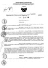Vista preliminar de documento RDR 11093-2024