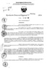 Vista preliminar de documento RDR 11094-2024