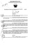 Vista preliminar de documento RDR 11095-2024