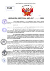Vista preliminar de documento Resolucion Directoral N° 000208-2025