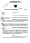 Vista preliminar de documento RDR 11096-2024