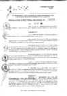 Vista preliminar de documento RDR 11098-2024