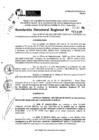 Vista preliminar de documento RDR 11100-2024