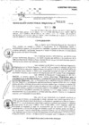 Vista preliminar de documento RDR 11101-2024