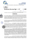 Vista preliminar de documento Resolucion Directoral N° 000210-2025