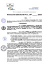 Vista preliminar de documento Resolucion Directoral N° 000212-2025