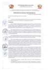 Vista preliminar de documento R.A N° 397-2024