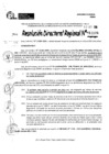 Vista preliminar de documento RDR 11106-2024