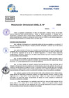 Vista preliminar de documento Resolucion Directoral N° 000215-2025