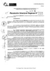 Vista preliminar de documento RDR 11108-2024