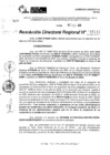 Vista preliminar de documento RDR 11113-2024