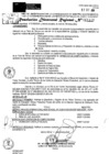 Vista preliminar de documento RDR 11116-2024