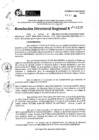 Vista preliminar de documento RDR 11117-2024