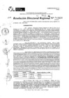 Vista preliminar de documento RDR 11120-2024