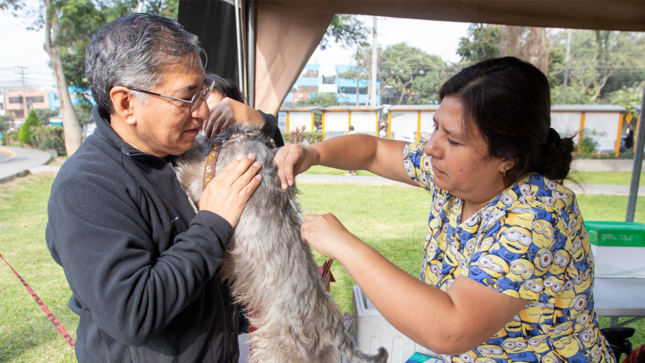 Vacunarán gratis a mascotas este sábado en La Molina