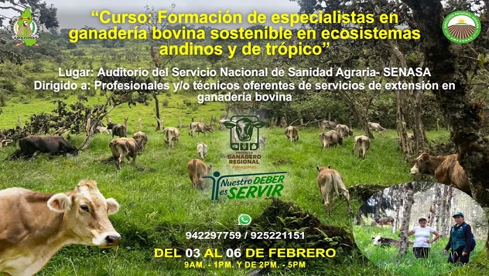 C GANADO
