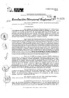 Vista preliminar de documento RDR 11121-2024