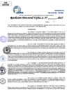 Vista preliminar de documento Resolucion Directoral N° 000219-2025