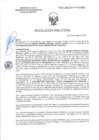 Vista preliminar de documento RD-0507-2025-DSAIA-DIRIS-LE-MINSA
