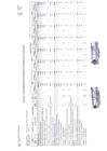 Vista preliminar de documento CUADRO MULTIANUAL DE NECESIDADES 2025