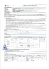 Vista preliminar de documento PERFIL - SERENO DE PATRULLAJE NO MOTORIZADO