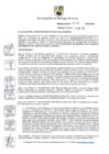 Vista preliminar de documento Resolución de Alcaldía N.° 018-2025-RASS