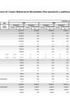 Vista preliminar de documento Anexo 04 Cuadro Multianual de Necesidades
