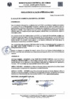 Vista preliminar de documento RA N°008-2025
