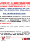 Vista preliminar de documento COMUNICADO 006-2025-UGEL05-CEDE2025 // PROCESO DE ENCARGATURA 2025 // PUBLICACIÓN DE OBSERVADOS