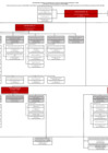 Vista preliminar de documento Organigrama-nominal-01022025