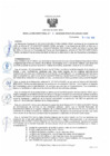 Vista preliminar de documento RD07