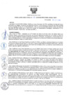 Vista preliminar de documento RD09
