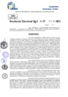 Vista preliminar de documento Resolucion Directoral N° 000222-2025