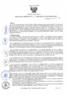 Vista preliminar de documento RD12