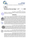 Vista preliminar de documento Resolucion Directoral N° 000223-2025