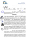 Vista preliminar de documento Resolucion Directoral N° 000224-2025