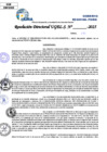 Vista preliminar de documento Resolucion Directoral N° 000226-2025