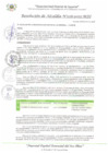 Vista preliminar de documento RA_028_2025_MDI