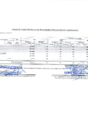 Vista preliminar de documento Anexo 4: Cuadro Multianual de Necesidades
