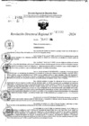 Vista preliminar de documento RDR 11133-2024